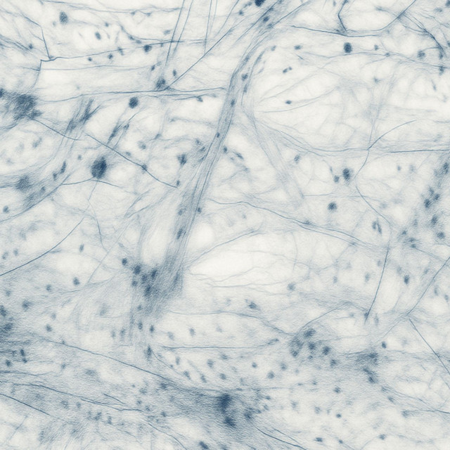 Our Tissues - Post-Rock Nation