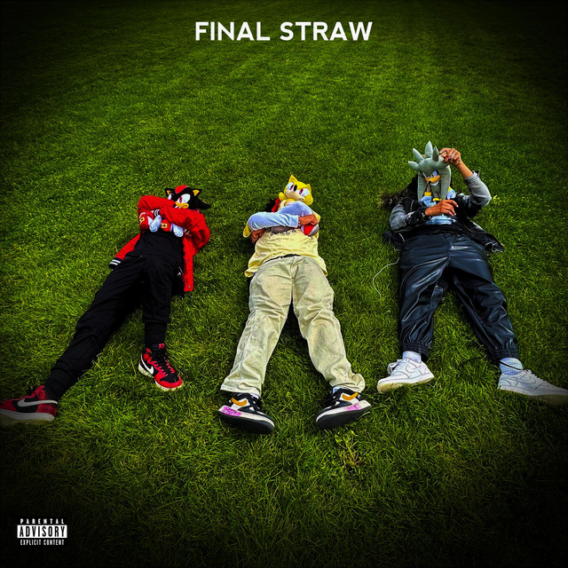 FINAL STRAW cover art