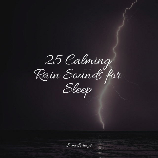 25 Calming Rain Sounds for Sleep - Album by White Noise Babies | Spotify