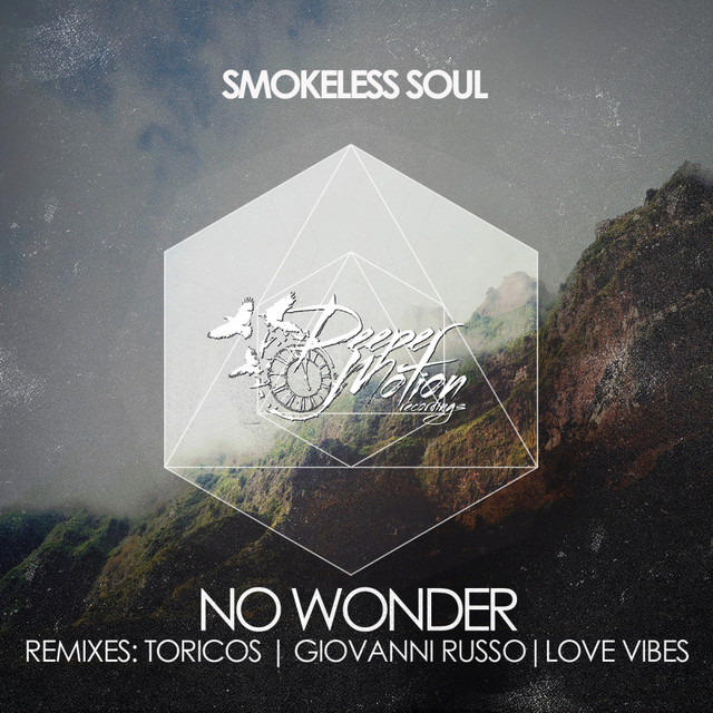 No Wonder - Love Vibes Remix cover art