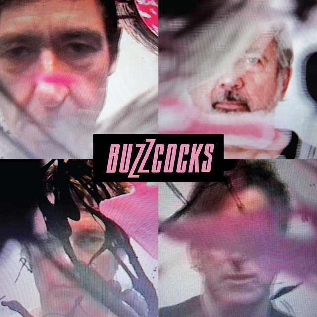 In the Back by Buzzcocks