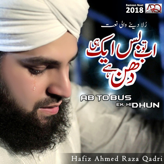 Ab To Bus Aik Hi Dhun Hai cover art