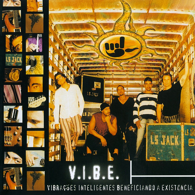 V.I.B.E. (Vibrações Inteligentes Beneficiando A Existência) cover art