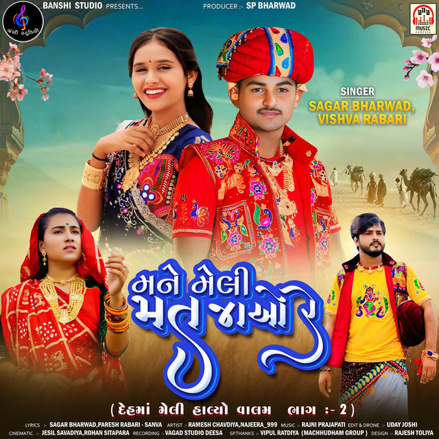 Vishva Rabari