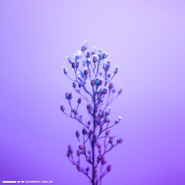 Pathways cover art
