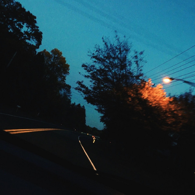 Nocturnal cover art