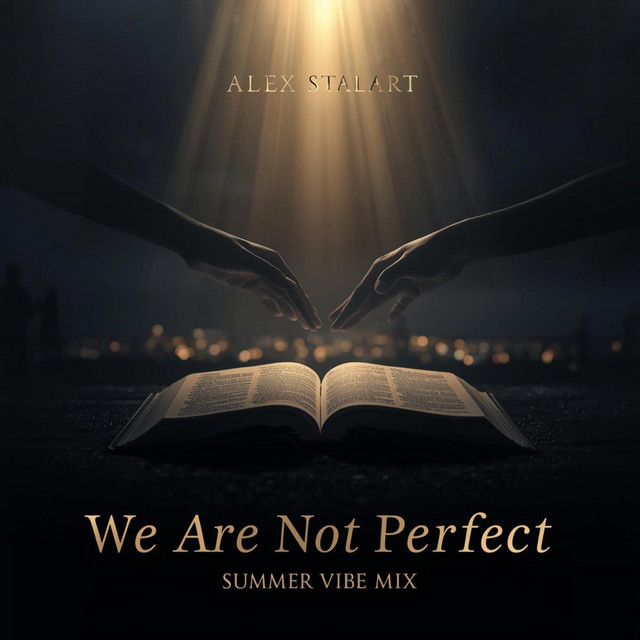 Cover du titre We are not perfect(Sommer vibe mix)