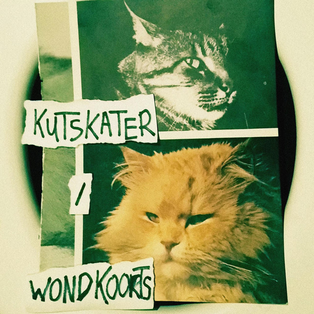 Wondkoorts