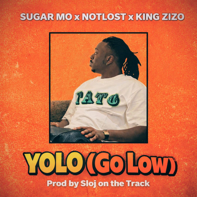 Yolo(Go Low)