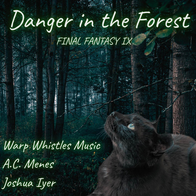 Danger in the Forest (From "Final Fantasy IX") - Acoustic Chamber Cover