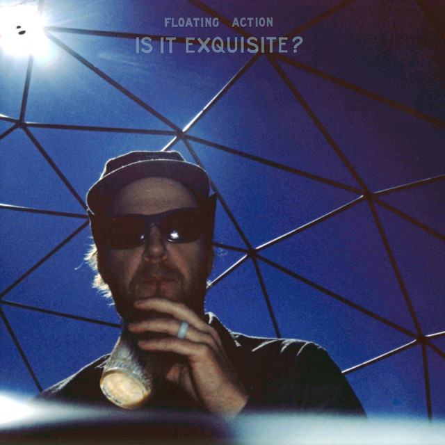 Is It Exquisite? cover art