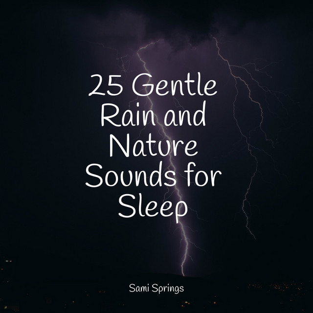 25 Gentle Rain and Nature Sounds for Sleep - Album by Nature & Sounds ...
