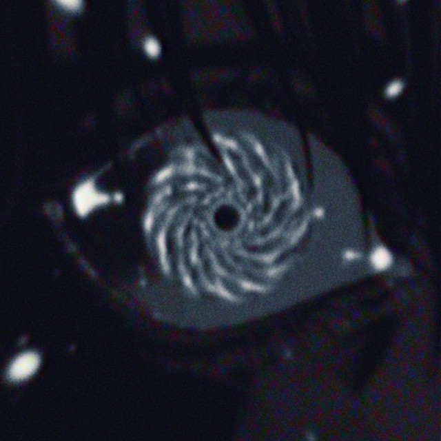 hypnotized