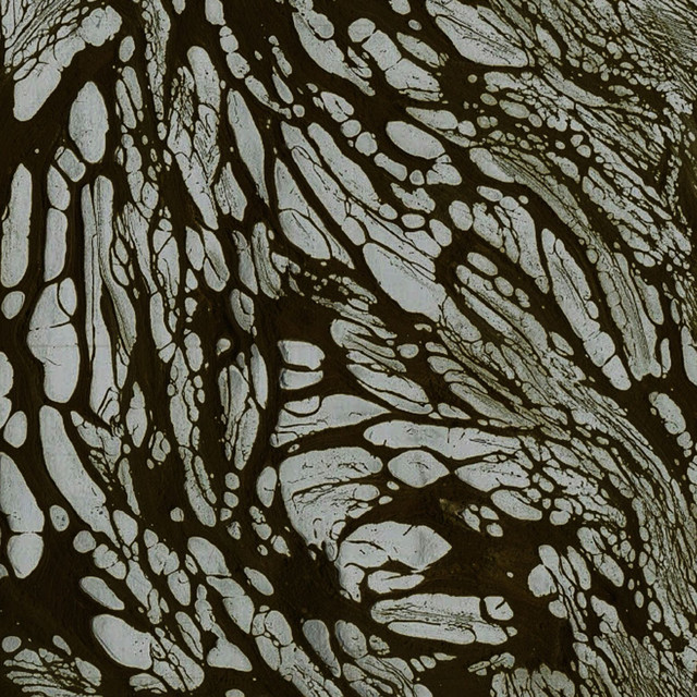 Silente cover art