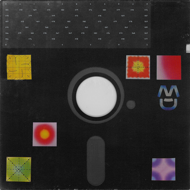 BL00MS artwork