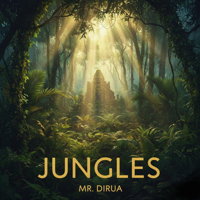 Обкладинка: Jungles — Mr. Dirua