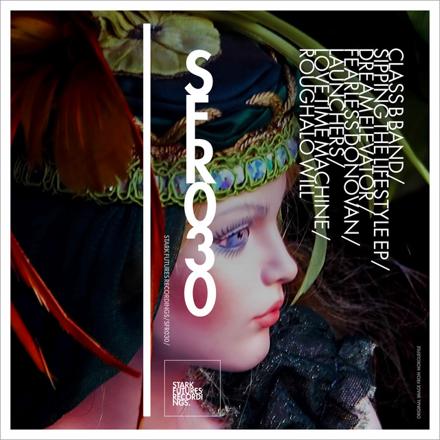 Fearless Donovan cover art
