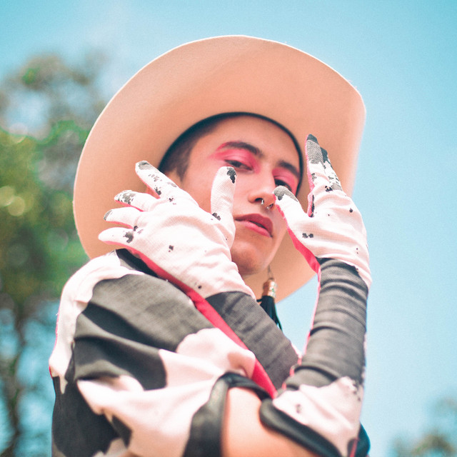 Cowboy Fora da Lei cover art