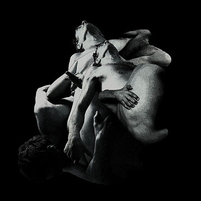 Punish, Honey cover art