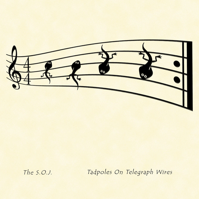 Tadpoles on Telegraph Wires cover art
