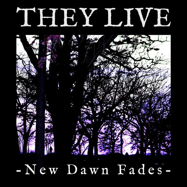 New Dawn Fades cover