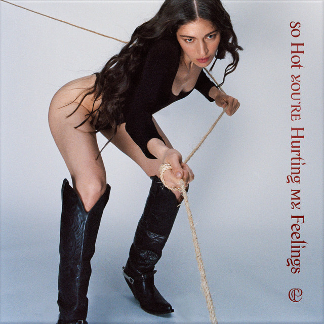 So Hot You're Hurting My Feelings cover