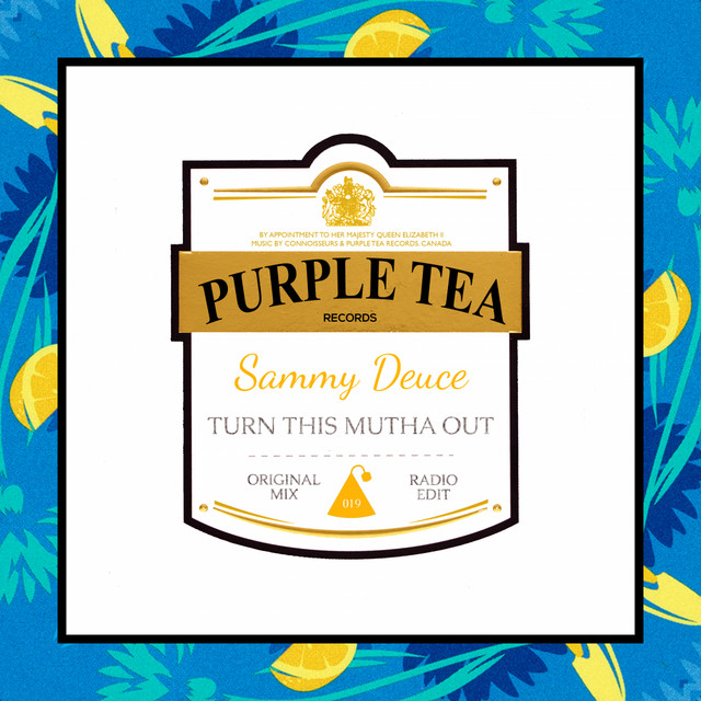Turn This Mutha Out - Radio Edit