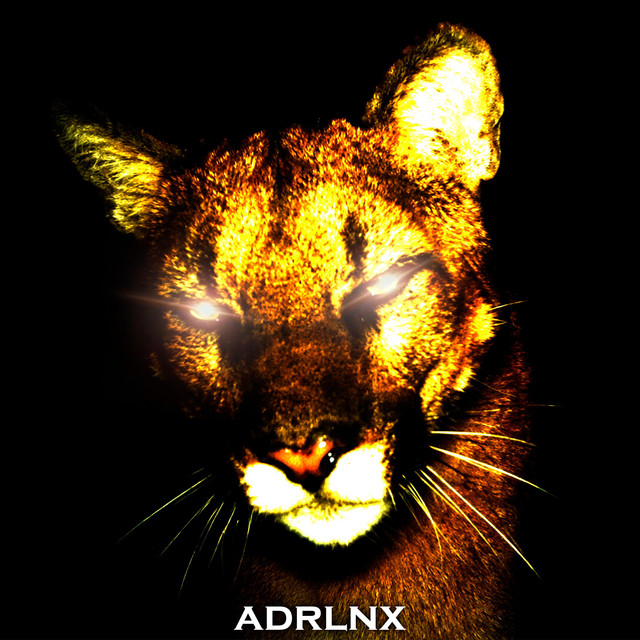 Обкладинка adrlnx — GAPPED (Versions)