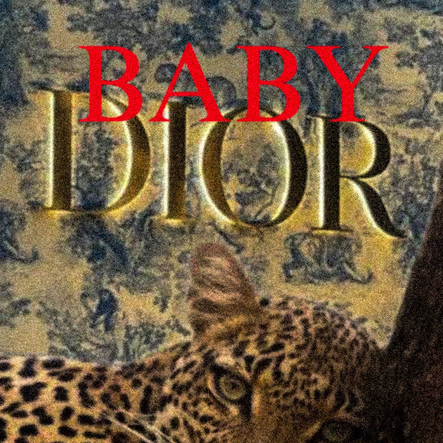 Обкладинка: Baby Dior — Zeta Uno