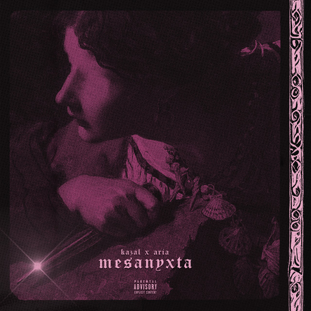 Mesanyxta