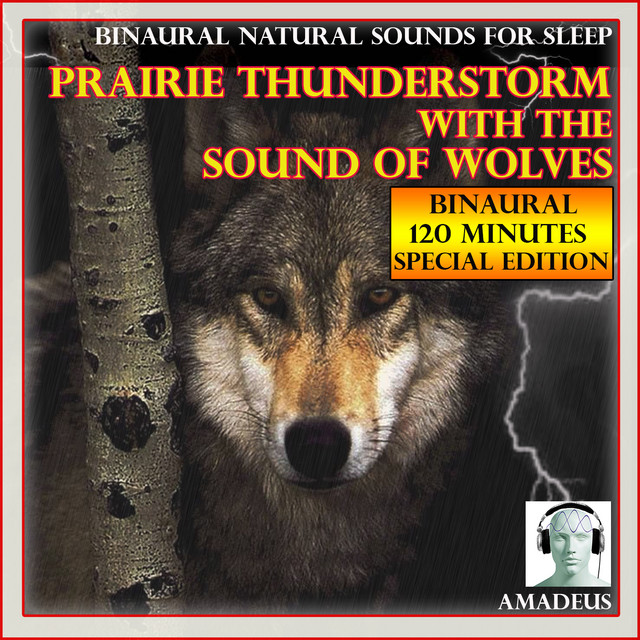 Binaural Natural Sounds for Sleep: Prairie Thunderstorm with the Sound of Wolves: 120 Minutes Special Edition cover art