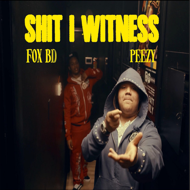 THE SHXT I WITNESSED cover