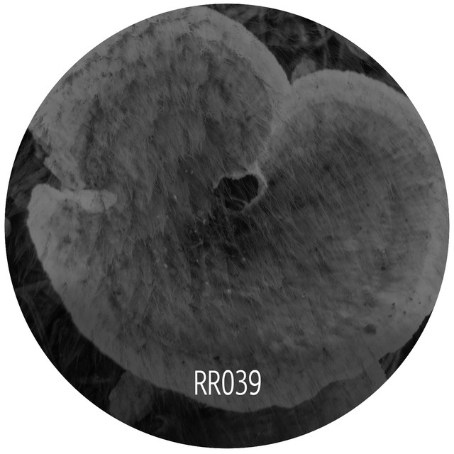 Dedalo album art