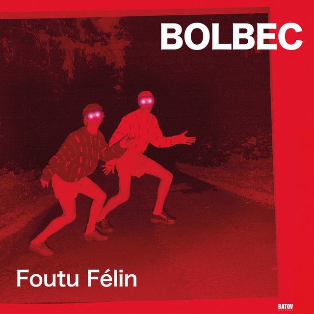Foutu Félin by Bolbec
