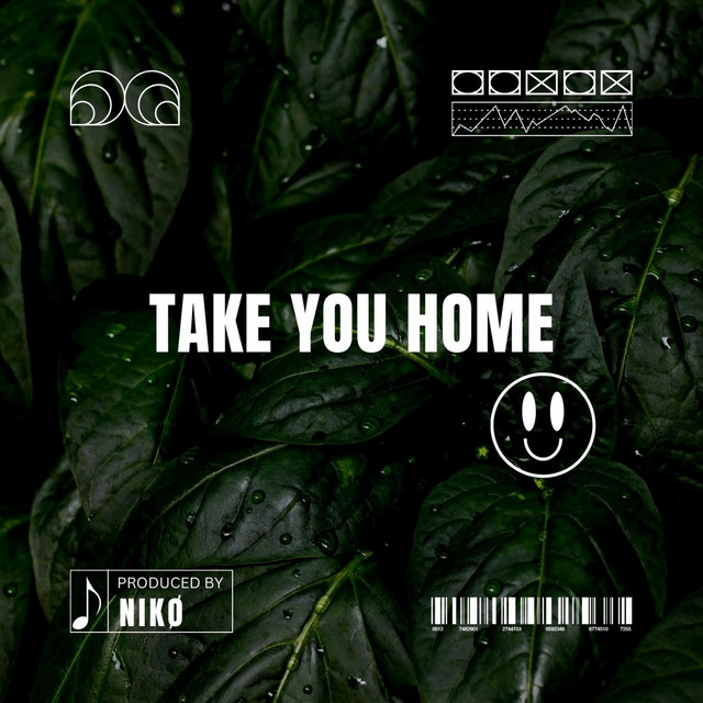 Take You Home