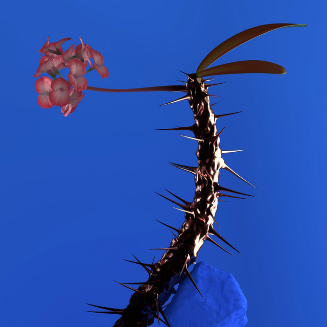 Skin Companion EP II cover art