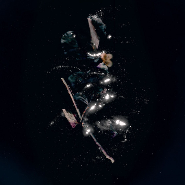 Chimaera cover art