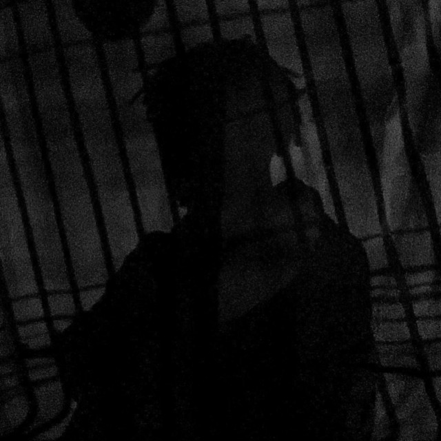Falsos Amores