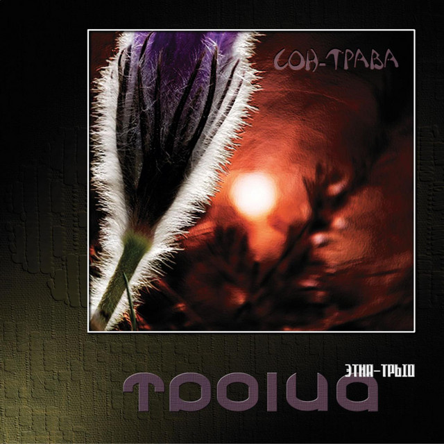 Son-trava cover art