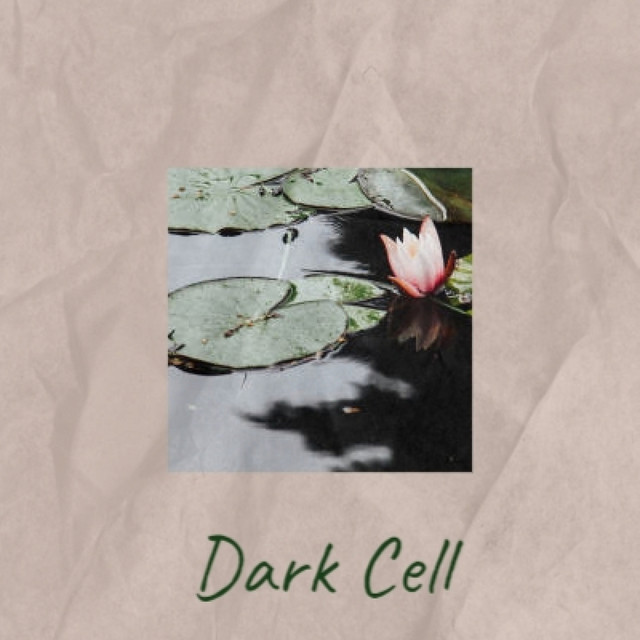 Dark Cell - Compilation by Various Artists | Spotify