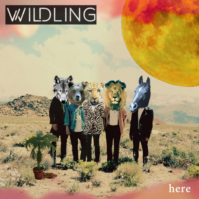 here cover art