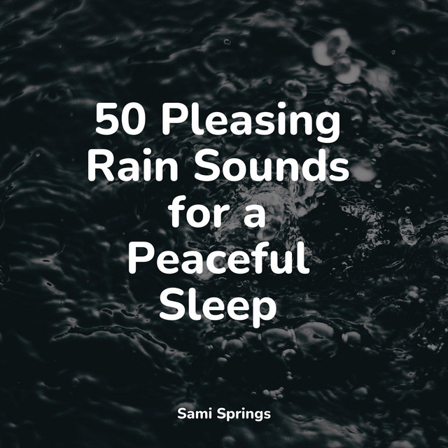 50 Pleasing Rain Sounds for a Peaceful Sleep - Album by Meditation ...