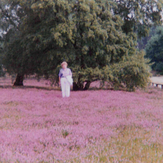 Witness cover art