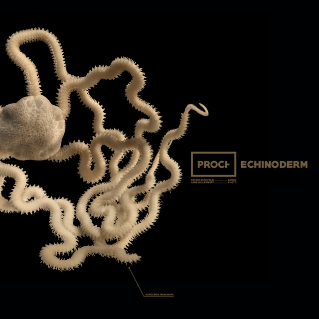 Echinoderm cover