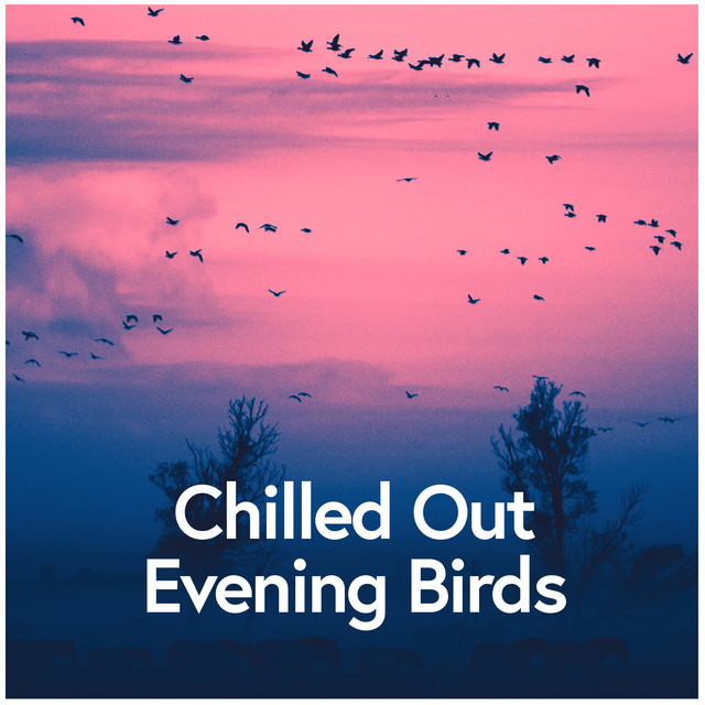 Chilled Out Evening Birds ! ! ! - Album by Bird Sounds | Spotify