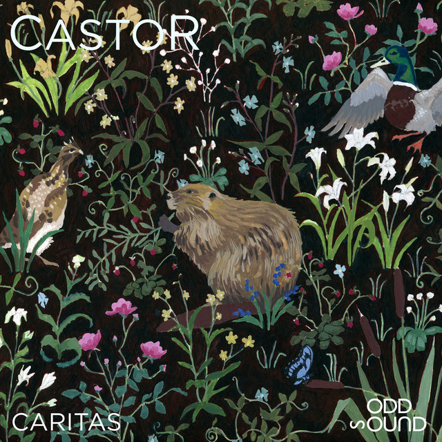 Caritas cover art