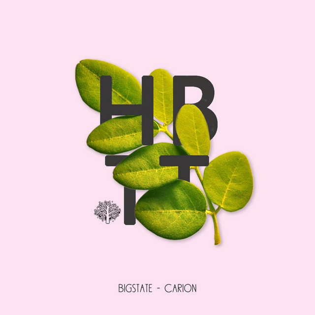 Carion cover art