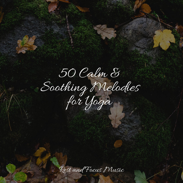 50 Calm & Soothing Melodies for Yoga - Album by Spa | Spotify