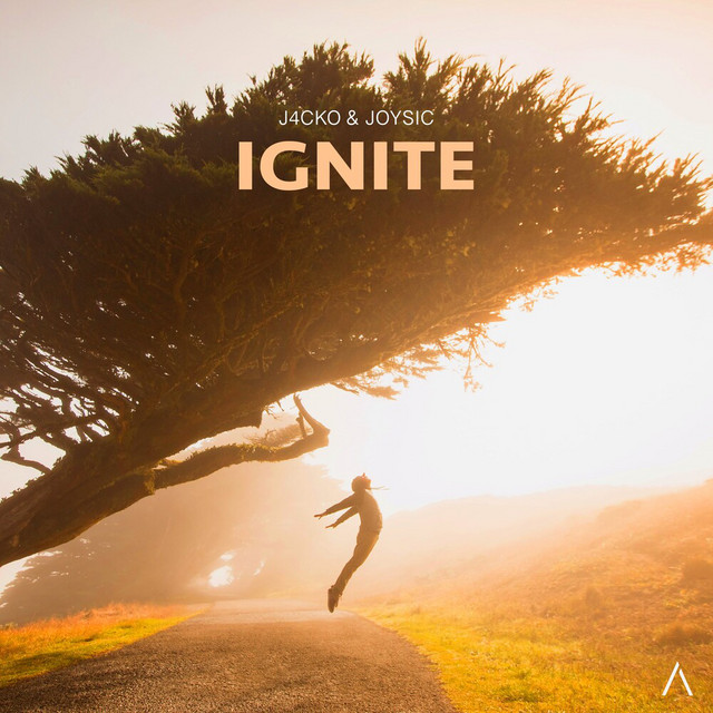 Ignite cover art