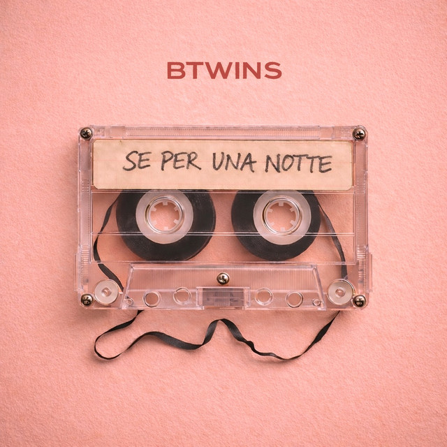 Se per una notte cover